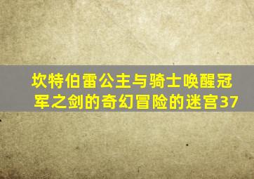 坎特伯雷公主与骑士唤醒冠军之剑的奇幻冒险的迷宫37
