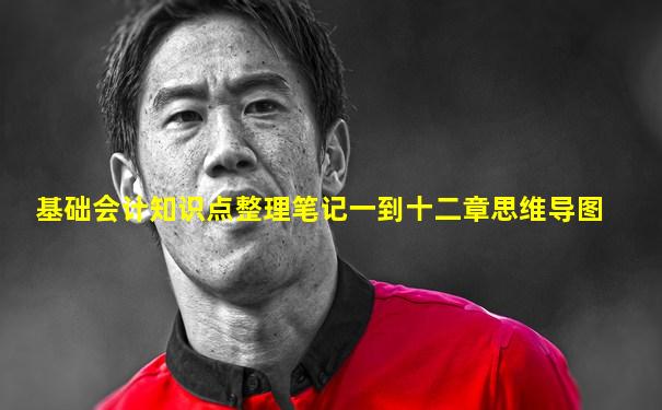 基础会计知识点整理笔记一到十二章思维导图