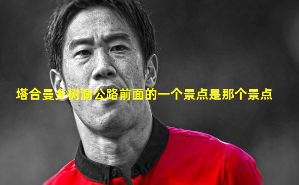 塔合曼乡树洞公路前面的一个景点是那个景点