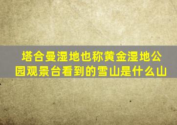 塔合曼湿地也称黄金湿地公园观景台看到的雪山是什么山