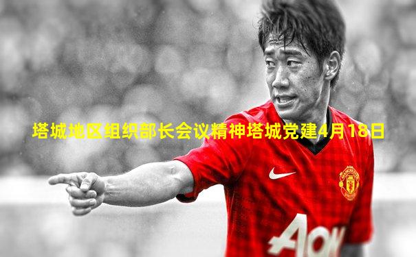 塔城地区组织部长会议精神塔城党建4月18日