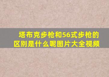塔布克步枪和56式步枪的区别是什么呢图片大全视频