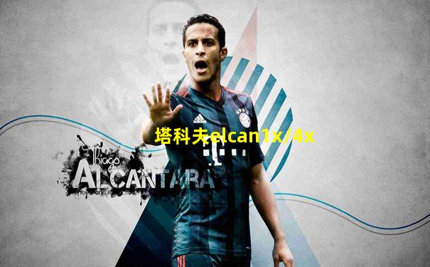 塔科夫elcan1x/4x