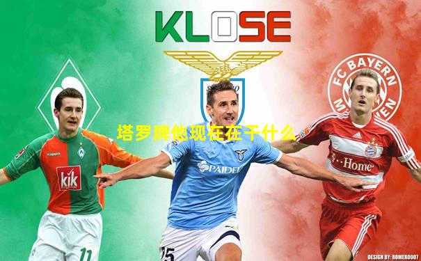 塔罗牌他现在在干什么