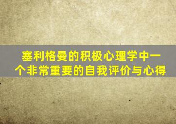 塞利格曼的积极心理学中一个非常重要的自我评价与心得