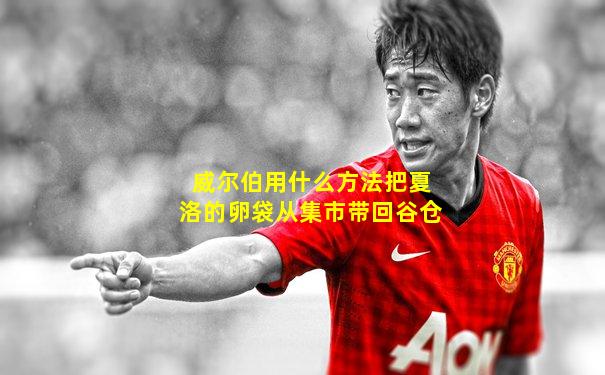 威尔伯用什么方法把夏洛的卵袋从集市带回谷仓