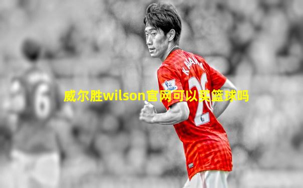 威尔胜wilson官网可以买篮球吗