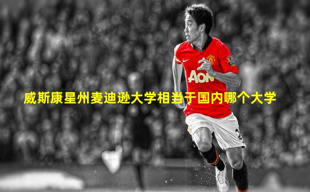 威斯康星州麦迪逊大学相当于国内哪个大学