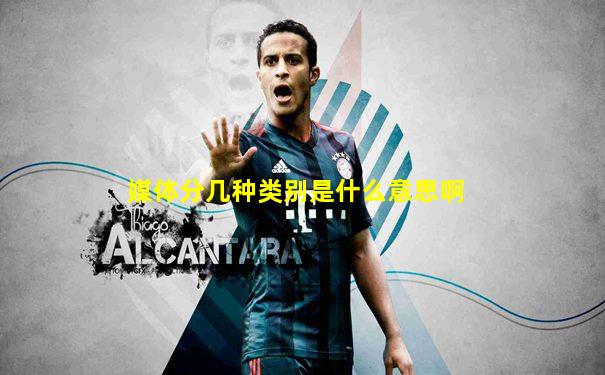 媒体分几种类别是什么意思啊