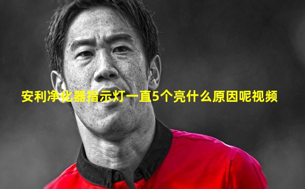安利净化器指示灯一直5个亮什么原因呢视频