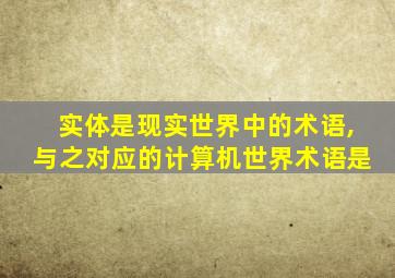 实体是现实世界中的术语,与之对应的计算机世界术语是