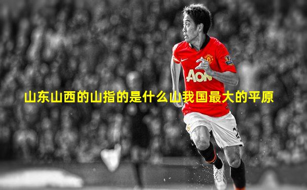 山东山西的山指的是什么山我国最大的平原