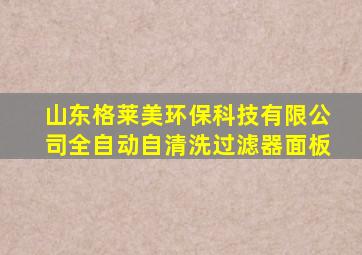 山东格莱美环保科技有限公司全自动自清洗过滤器面板