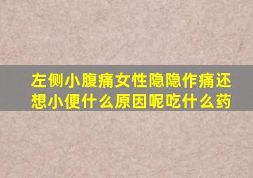 左侧小腹痛女性隐隐作痛还想小便什么原因呢吃什么药