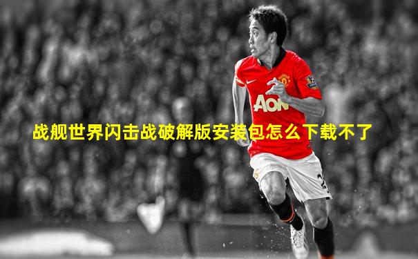 战舰世界闪击战破解版安装包怎么下载不了