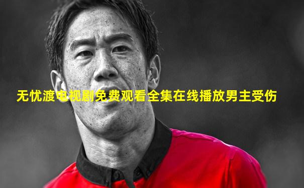 无忧渡电视剧免费观看全集在线播放男主受伤