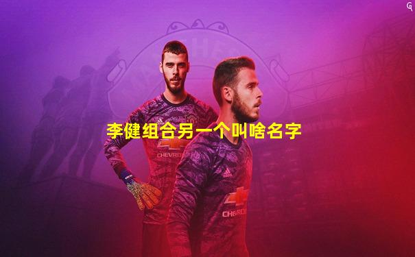 李健组合另一个叫啥名字