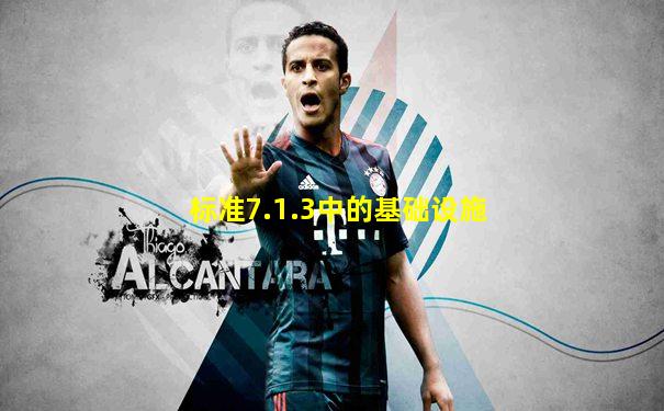 标准7.1.3中的基础设施