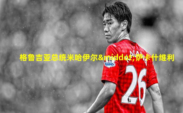 格鲁吉亚总统米哈伊尔·萨卡什维利