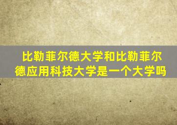比勒菲尔德大学和比勒菲尔德应用科技大学是一个大学吗