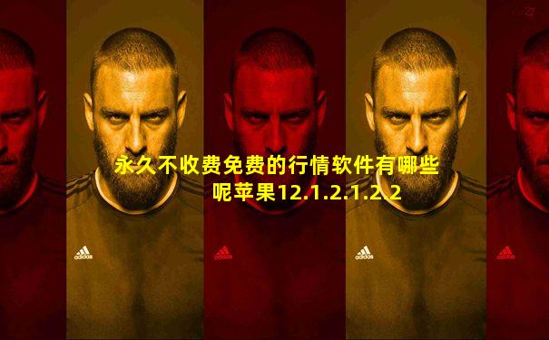 永久不收费免费的行情软件有哪些呢苹果12.1.2.1.2.2