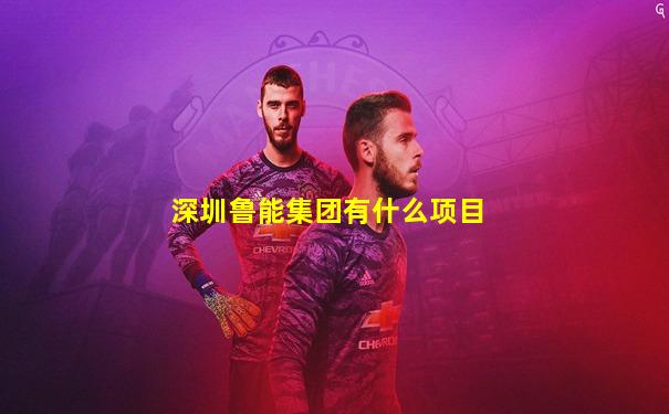 深圳鲁能集团有什么项目