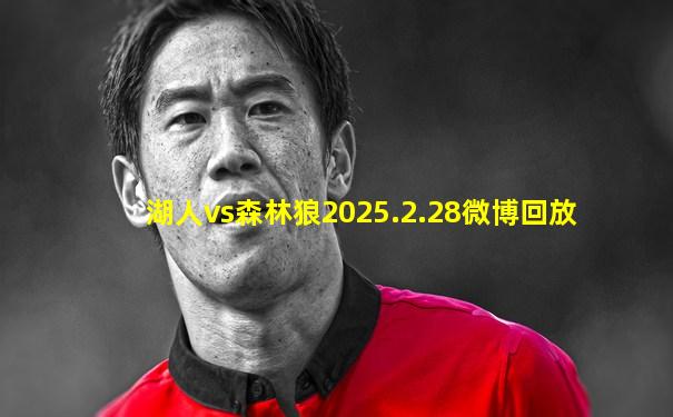 湖人vs森林狼2025.2.28微博回放