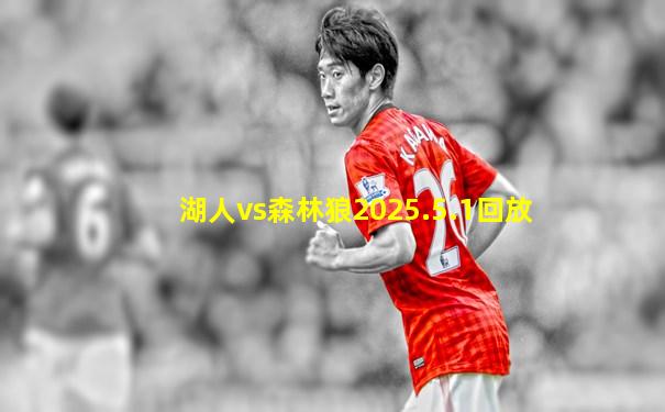 湖人vs森林狼2025.5.1回放