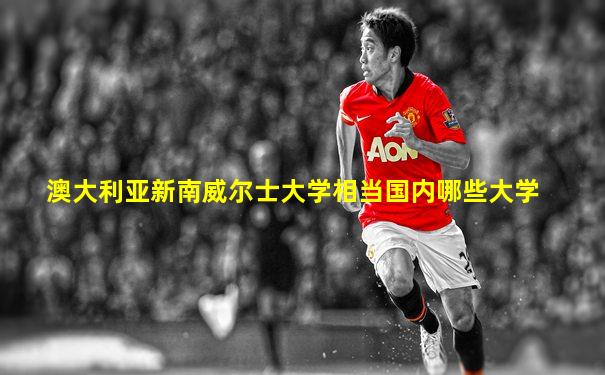 澳大利亚新南威尔士大学相当国内哪些大学