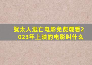 犹太人逃亡电影免费观看2023年上映的电影叫什么