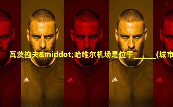 瓦茨拉夫·哈维尔机场是位于______(城市名)的机场