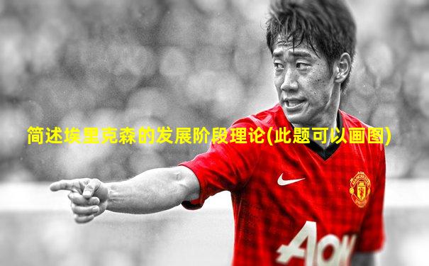 简述埃里克森的发展阶段理论(此题可以画图)