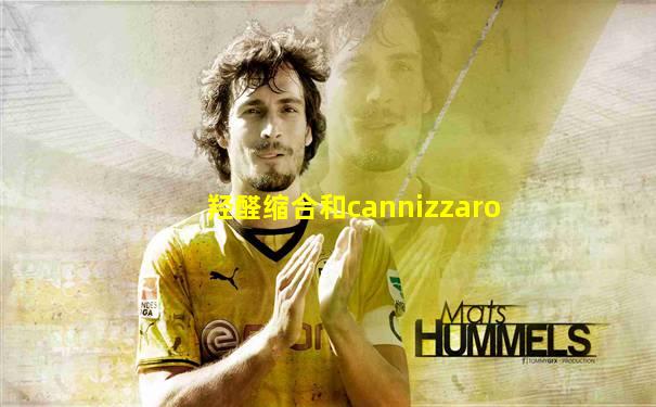 羟醛缩合和cannizzaro