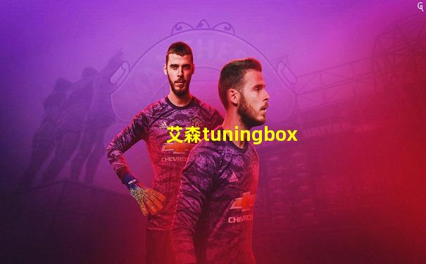 艾森tuningbox