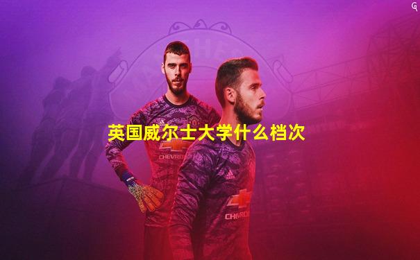 英国威尔士大学什么档次