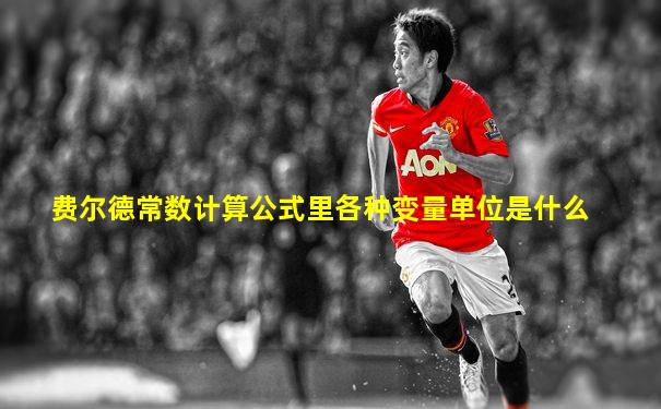 费尔德常数计算公式里各种变量单位是什么