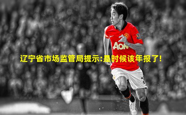 辽宁省市场监管局提示:是时候该年报了!