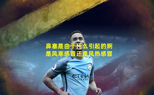 鼻塞是由于什么引起的啊是风寒感冒还是风热感冒