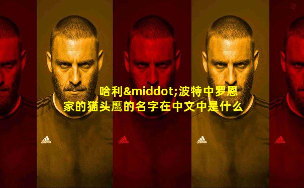 哈利·波特中罗恩家的猫头鹰的名字在中文中是什么意思