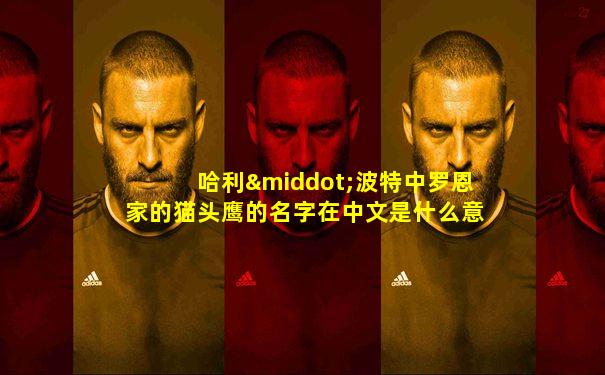哈利·波特中罗恩家的猫头鹰的名字在中文是什么意思