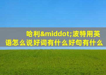 哈利·波特用英语怎么说好词有什么好句有什么