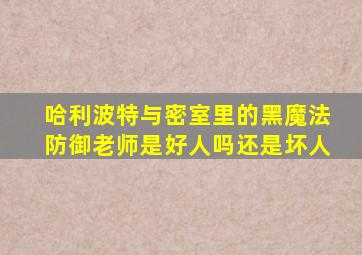 哈利波特与密室里的黑魔法防御老师是好人吗还是坏人