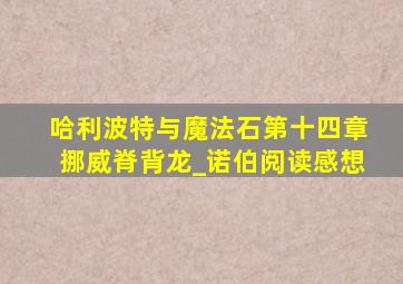 哈利波特与魔法石第十四章挪威脊背龙_诺伯阅读感想