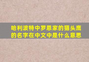 哈利波特中罗恩家的猫头鹰的名字在中文中是什么意思
