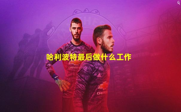 哈利波特最后做什么工作