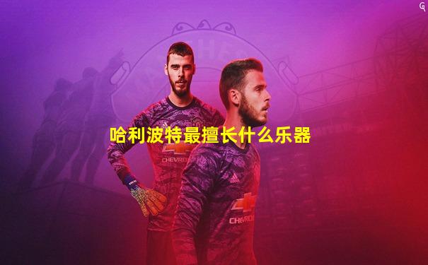 哈利波特最擅长什么乐器
