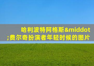 哈利波特阿格斯·费尔奇扮演者年轻时候的图片