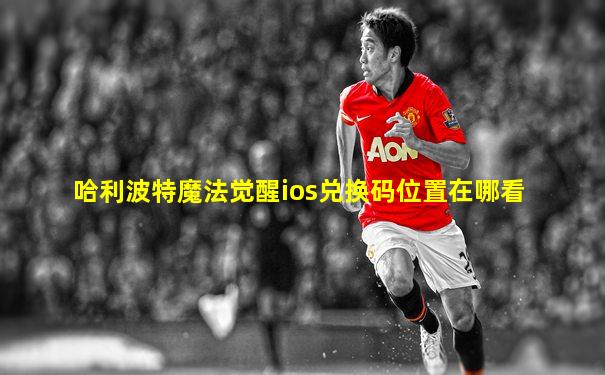 哈利波特魔法觉醒ios兑换码位置在哪看