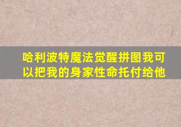 哈利波特魔法觉醒拼图我可以把我的身家性命托付给他